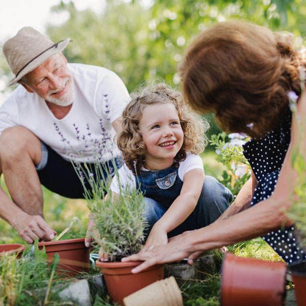 Estate Planning Edmonton